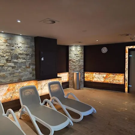 Room4u & Karos Wellness Apartament Zalakaros